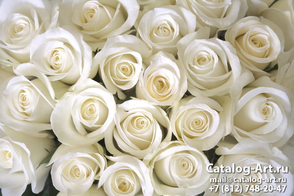 Натяжные потолки с фотопечатью - Белые розы 39